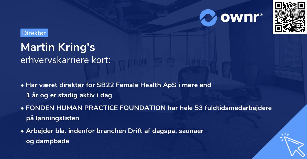 Martin Kring's erhvervskarriere kort