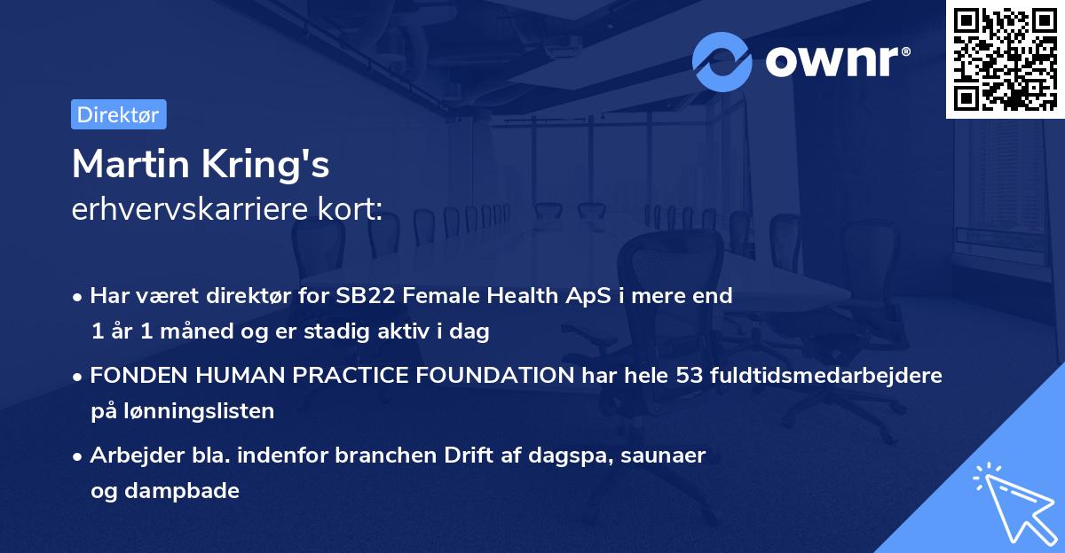 Martin Kring's erhvervskarriere kort