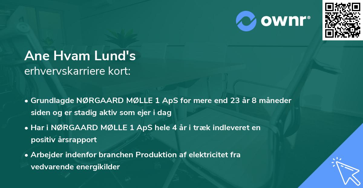 Ane Hvam Lund's erhvervskarriere kort