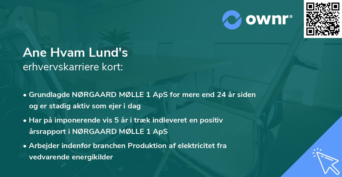Ane Hvam Lund's erhvervskarriere kort