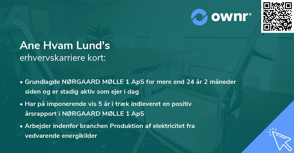 Ane Hvam Lund's erhvervskarriere kort
