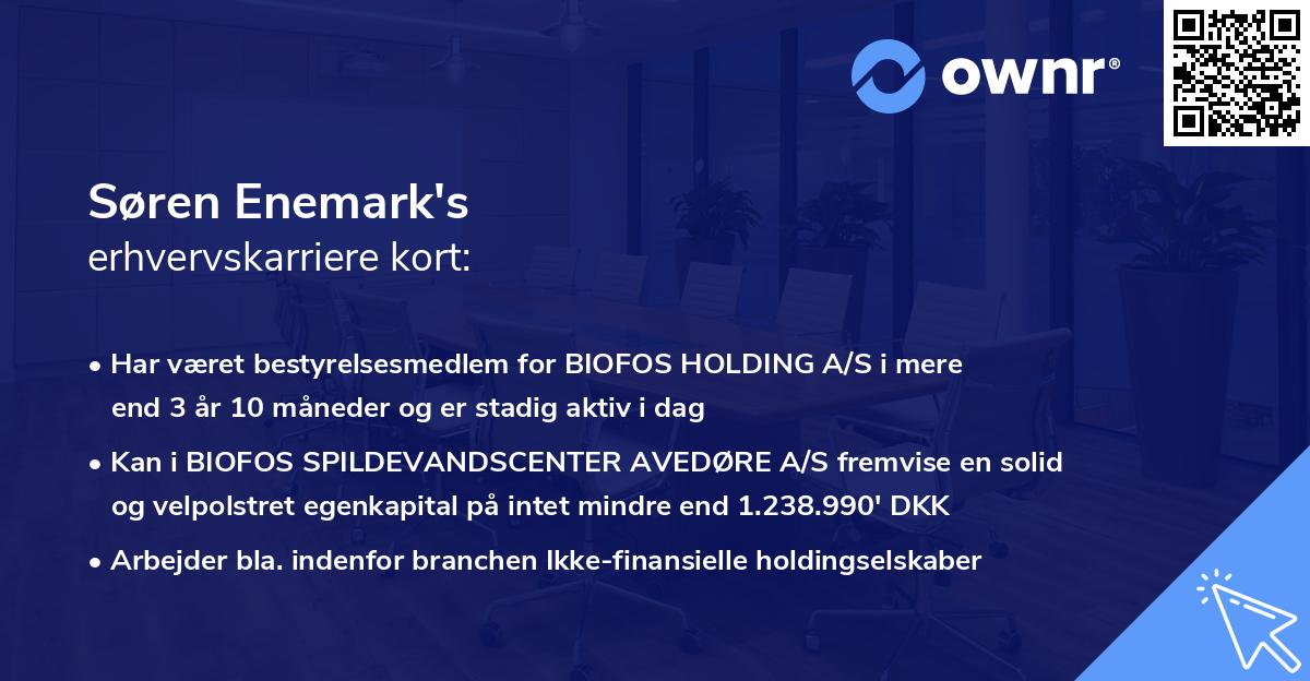 Søren Enemark's erhvervskarriere kort
