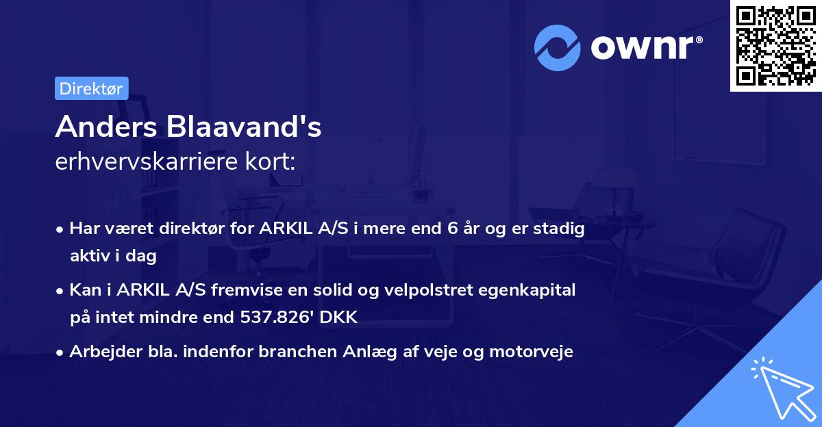 Anders Blaavand's erhvervskarriere kort