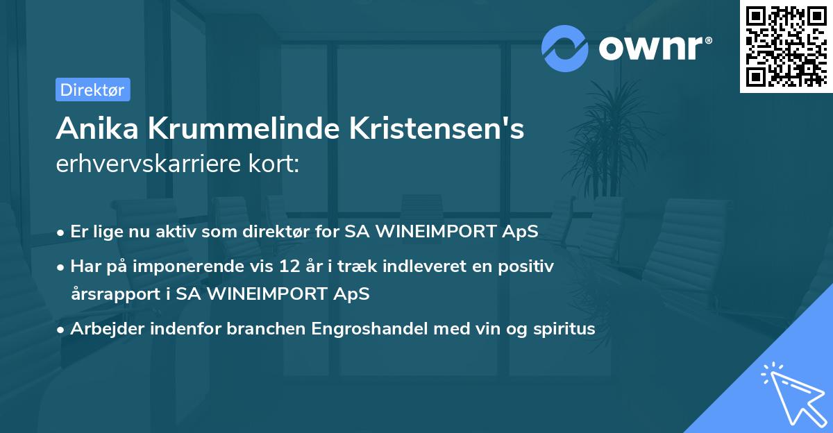 Anika Krummelinde Kristensen's erhvervskarriere kort