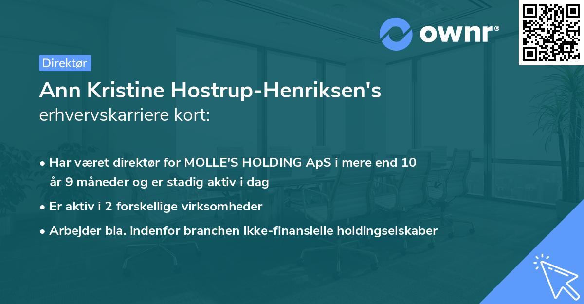 Ann Kristine Hostrup-Henriksen's erhvervskarriere kort