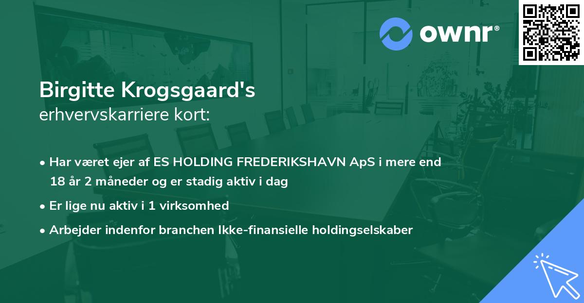 Birgitte Krogsgaard's erhvervskarriere kort
