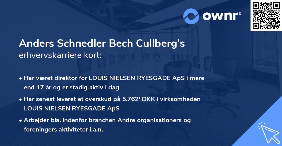 Anders Schnedler Bech Cullberg's erhvervskarriere kort
