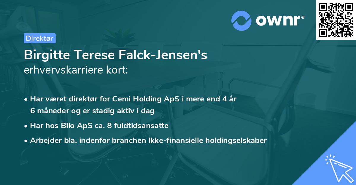 Birgitte Terese Falck-Jensen's erhvervskarriere kort