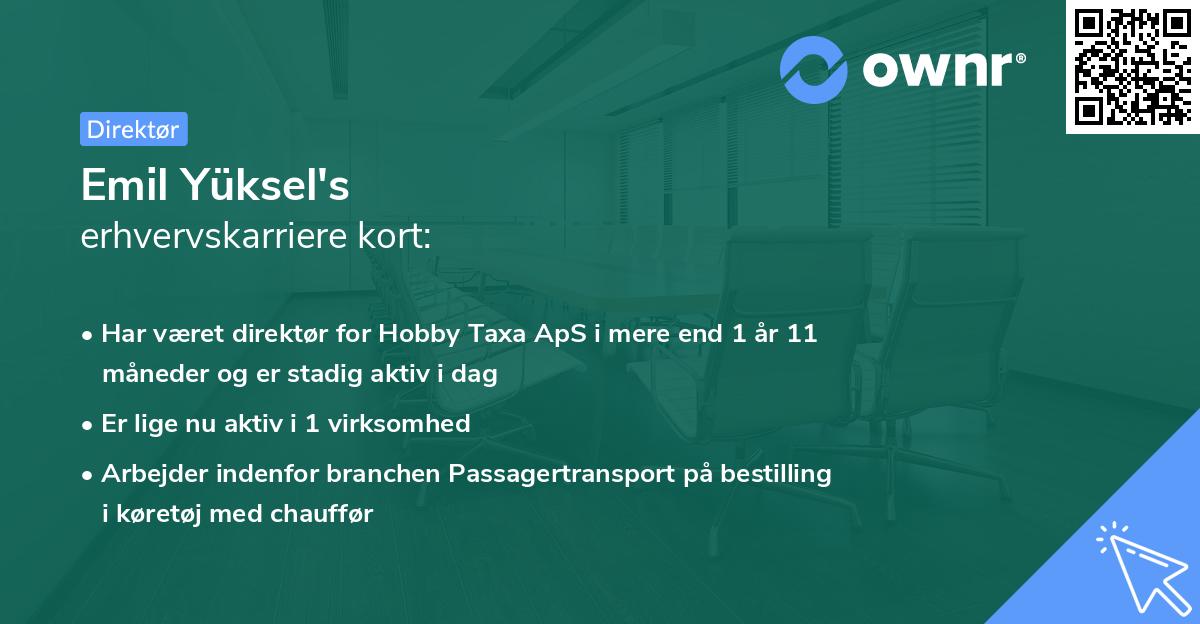 Emil Yüksel's erhvervskarriere kort