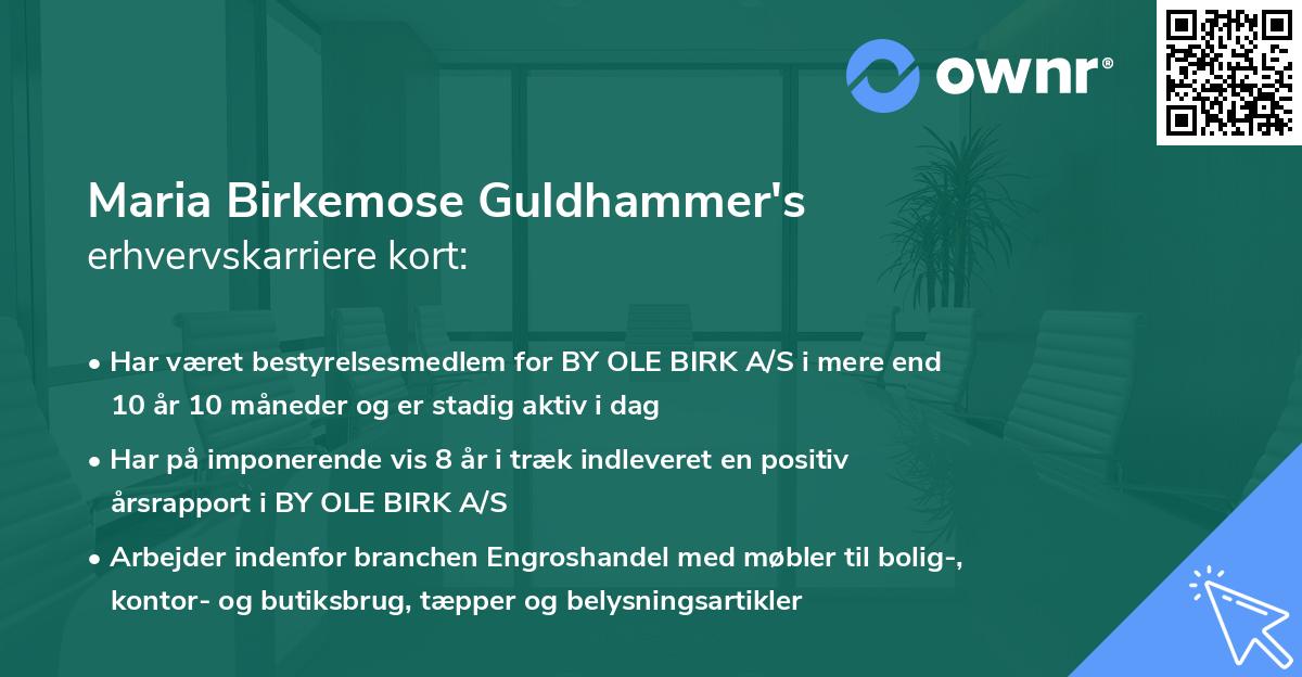Maria Birkemose Guldhammer's erhvervskarriere kort