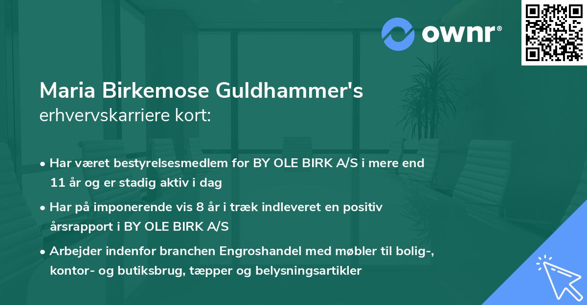 Maria Birkemose Guldhammer's erhvervskarriere kort