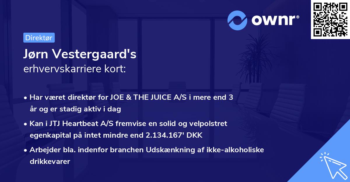 Jørn Vestergaard's erhvervskarriere kort
