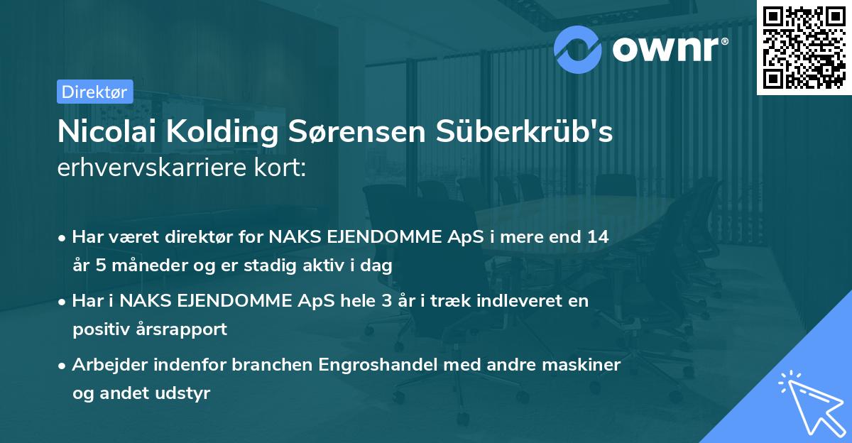 Nicolai Kolding Sørensen Süberkrüb's erhvervskarriere kort
