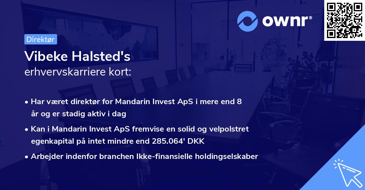 Vibeke Halsted's erhvervskarriere kort
