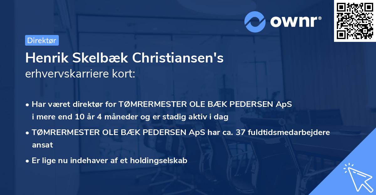 Henrik Skelbæk Christiansen's erhvervskarriere kort