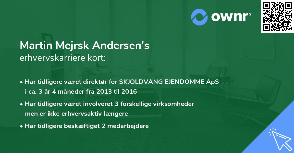 Martin Mejrsk Andersen's erhvervskarriere kort