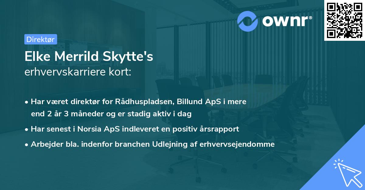 Elke Merrild Skytte's erhvervskarriere kort