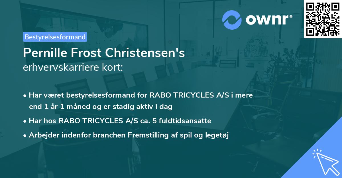 Pernille Frost Christensen's erhvervskarriere kort