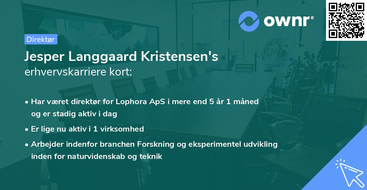Jesper Langgaard Kristensen's erhvervskarriere kort