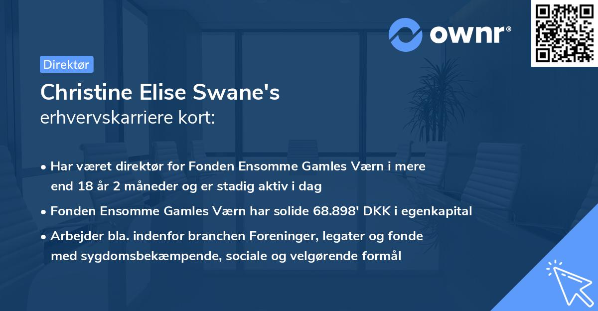 Christine Elise Swane's erhvervskarriere kort