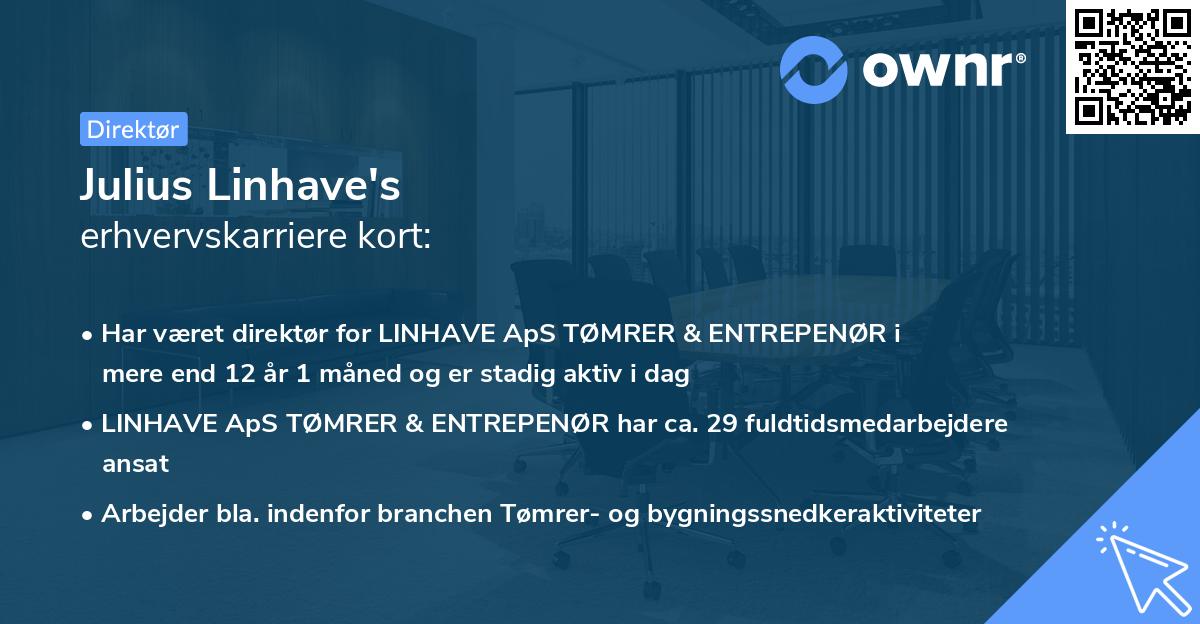 Julius Linhave's erhvervskarriere kort