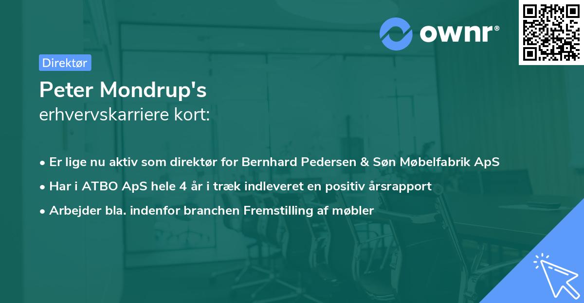 Peter Mondrup's erhvervskarriere kort