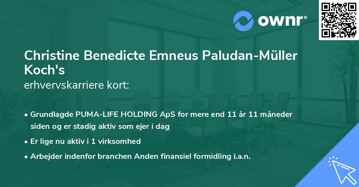 Christine Benedicte Emneus Paludan-Müller Koch's erhvervskarriere kort