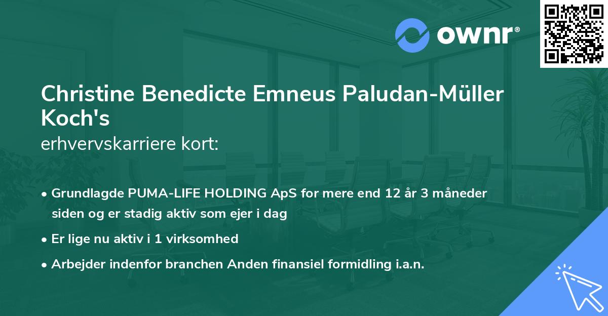 Christine Benedicte Emneus Paludan-Müller Koch's erhvervskarriere kort