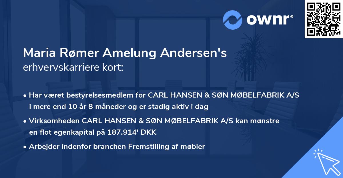 Maria Rømer Amelung Andersen's erhvervskarriere kort