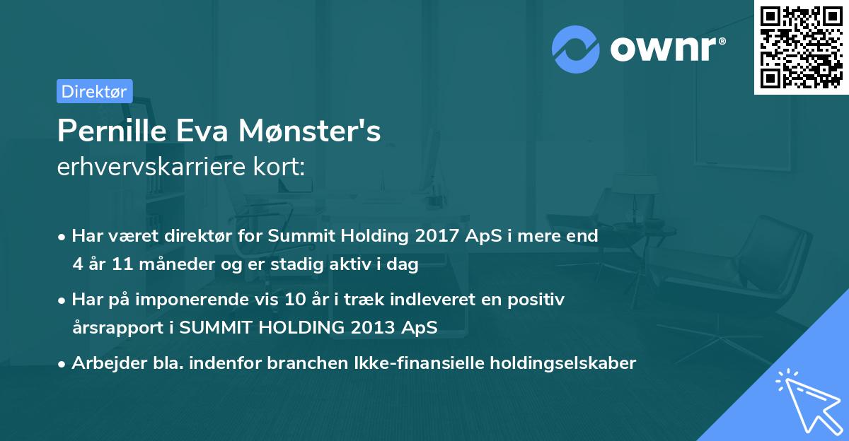 Pernille Eva Mønster's erhvervskarriere kort