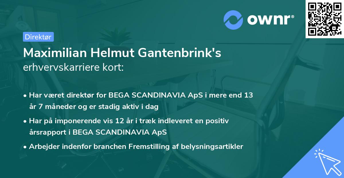Maximilian Helmut Gantenbrink's erhvervskarriere kort