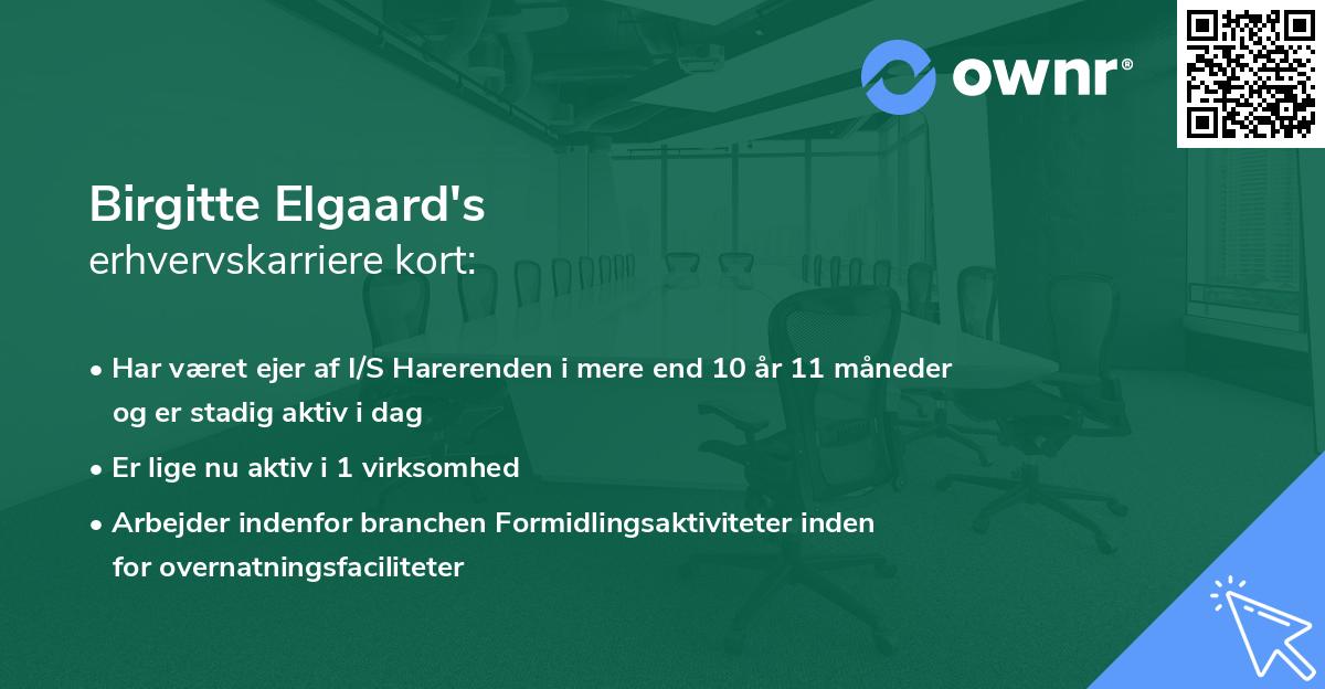 Birgitte Elgaard's erhvervskarriere kort