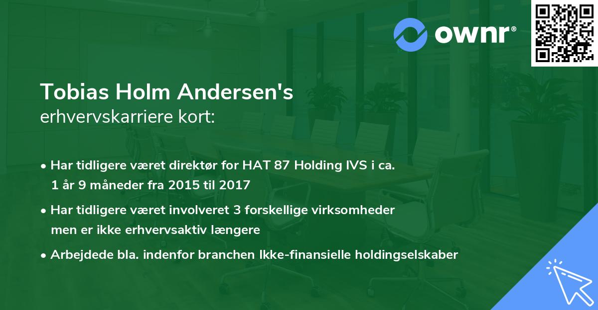 Tobias Holm Andersen's erhvervskarriere kort