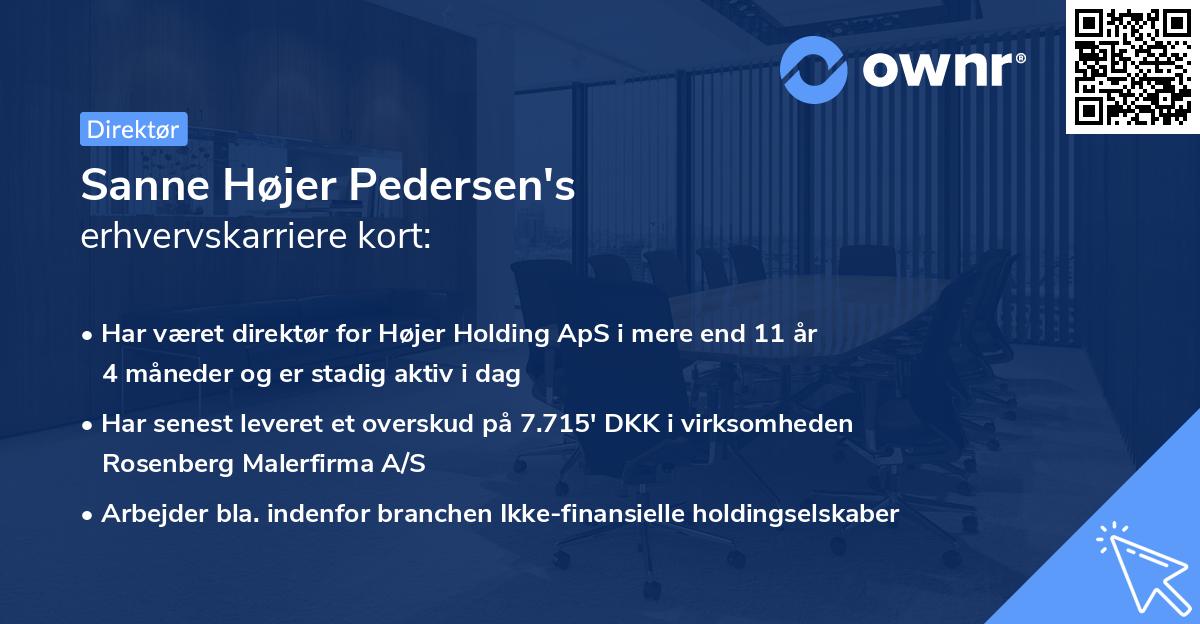 Sanne Højer Pedersen's erhvervskarriere kort