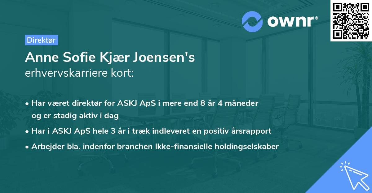 Anne Sofie Kjær Joensen's erhvervskarriere kort