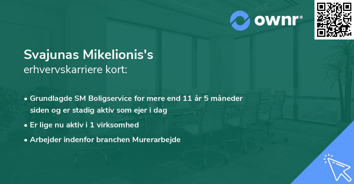 Svajunas Mikelionis's erhvervskarriere kort