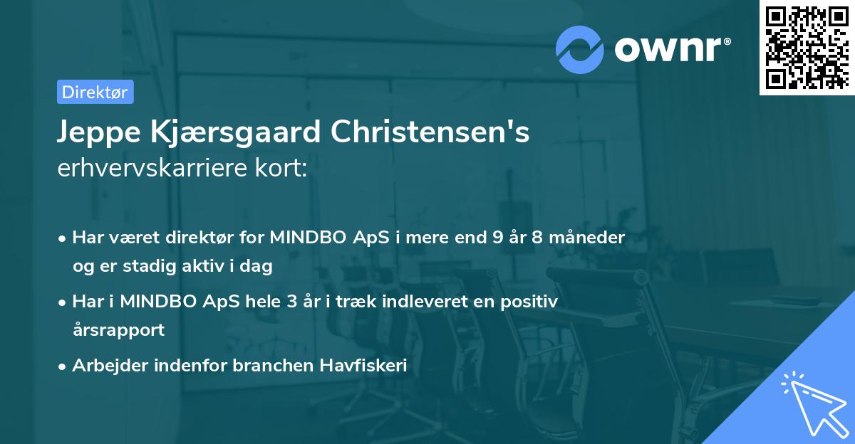 Jeppe Kjærsgaard Christensen's erhvervskarriere kort