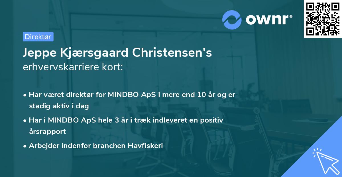 Jeppe Kjærsgaard Christensen's erhvervskarriere kort