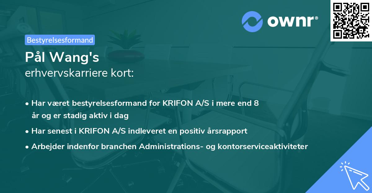 Pål Wang's erhvervskarriere kort