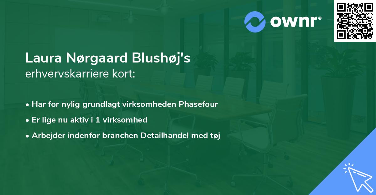 Laura Nørgaard Blushøj's erhvervskarriere kort
