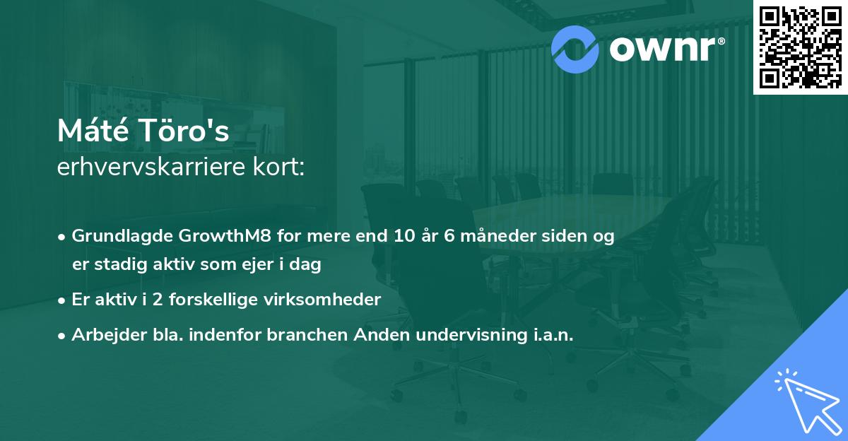 Máté Töro's erhvervskarriere kort