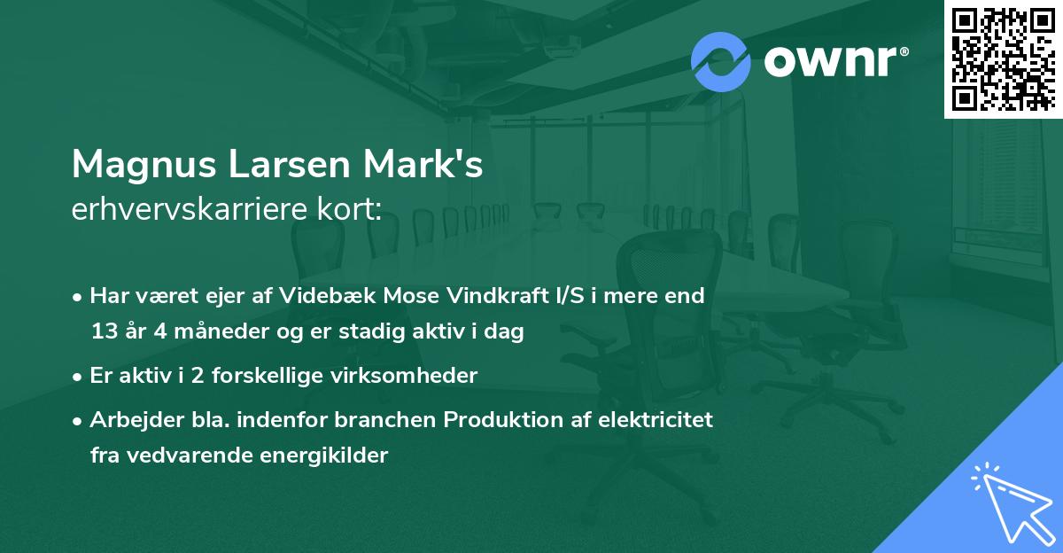 Magnus Larsen Mark's erhvervskarriere kort