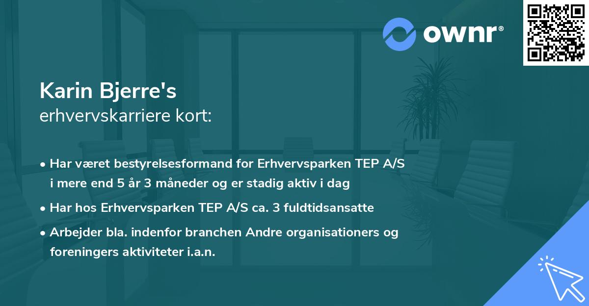 Karin Bjerre's erhvervskarriere kort