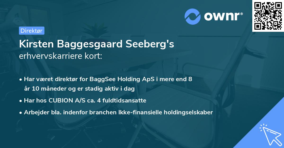 Kirsten Baggesgaard Seeberg's erhvervskarriere kort
