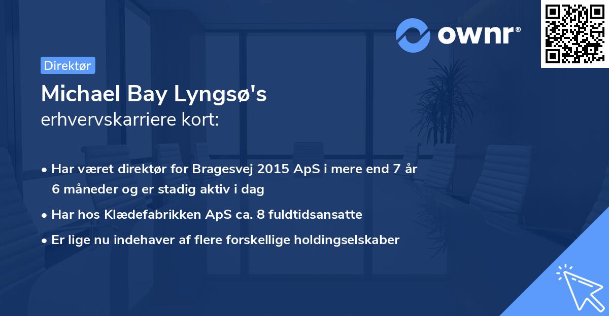 Michael Bay Lyngsø's erhvervskarriere kort