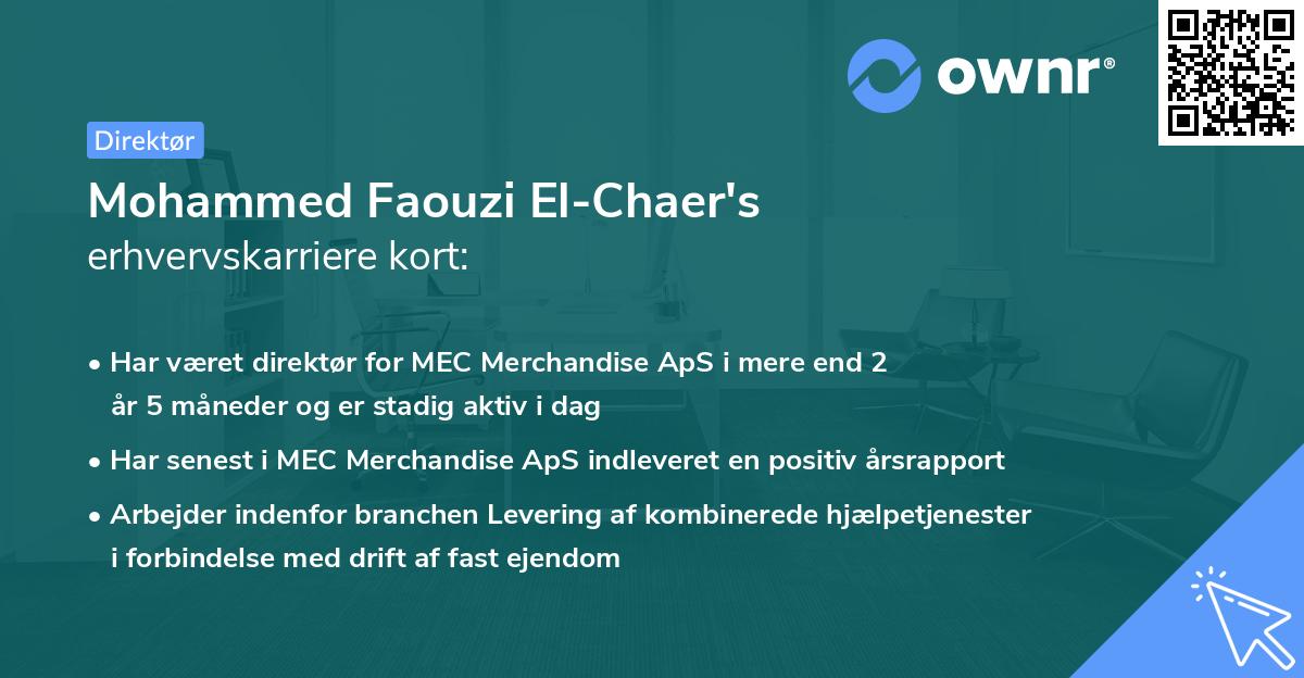 Mohammed Faouzi El-Chaer's erhvervskarriere kort