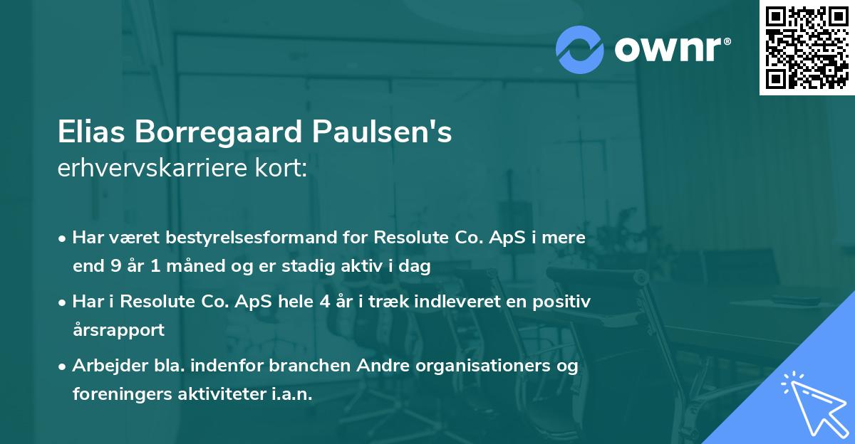 Elias Borregaard Paulsen's erhvervskarriere kort