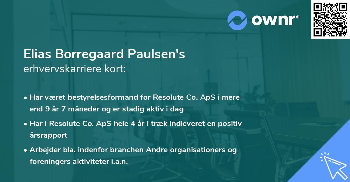 Elias Borregaard Paulsen's erhvervskarriere kort