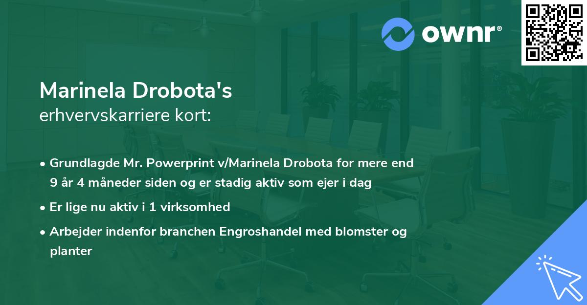 Marinela Drobota's erhvervskarriere kort