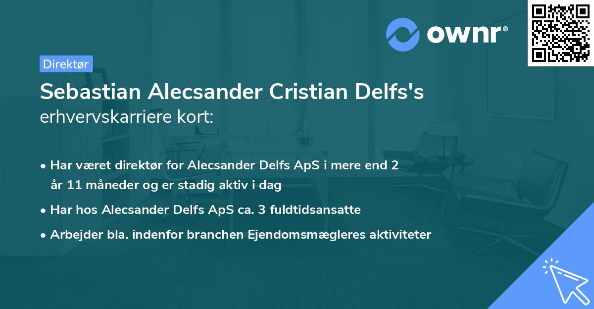 Sebastian Alecsander Cristian Delfs's erhvervskarriere kort